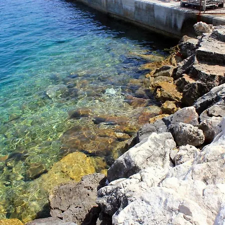 With A Parking Space Sali, Dugi Otok - 16469 Sali